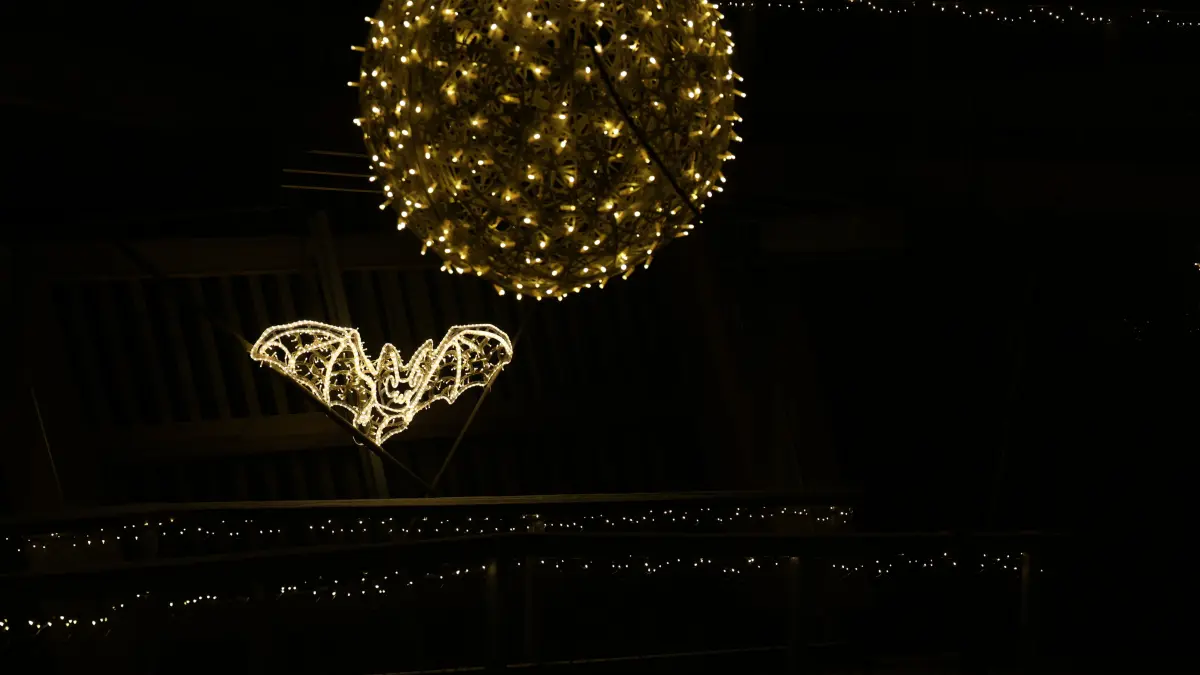 Lichterzauber Bad Wildbad