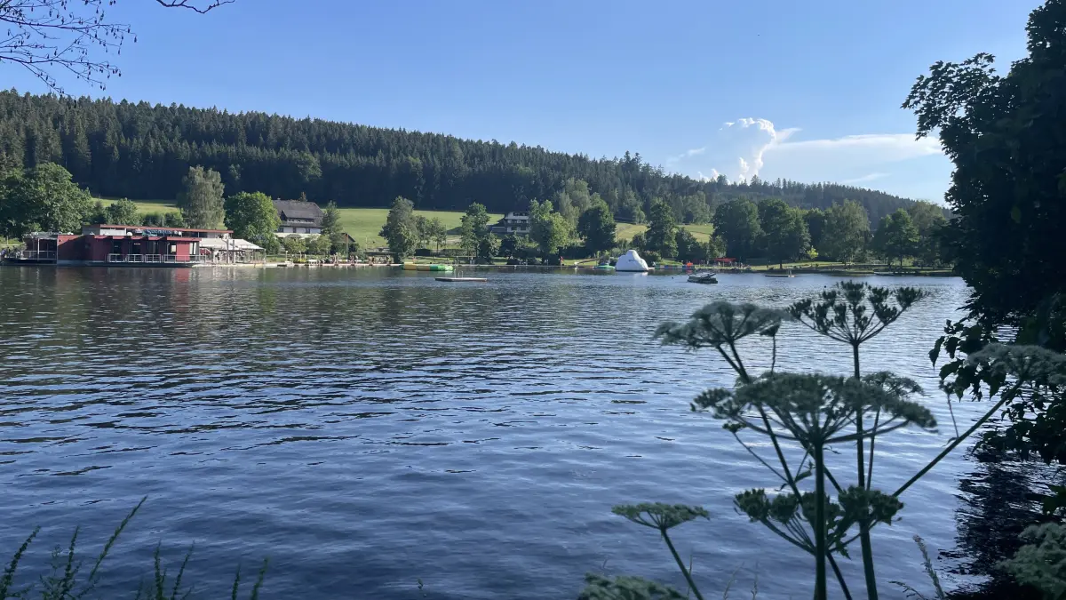 Für die Stadt von ungemeiner Bedeutung, wie Bürgermeister Michael Rieger betont: der Klosterweiher als Badesee.
