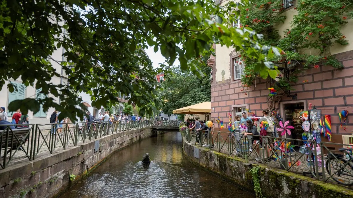 Der Gewerbekanal in Freiburg führt zurzeit weniger Wasser, als auf diesem Bild zu sehen ist. Das hat Folgen für die Fische.