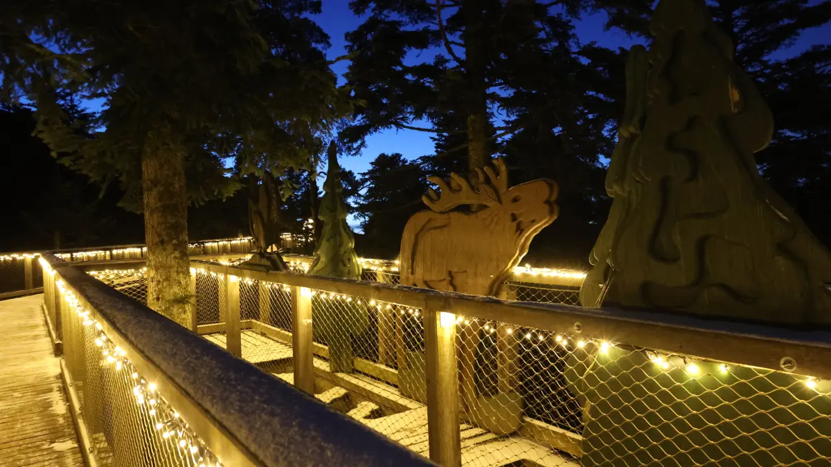 Lichterzauber Bad Wildbad