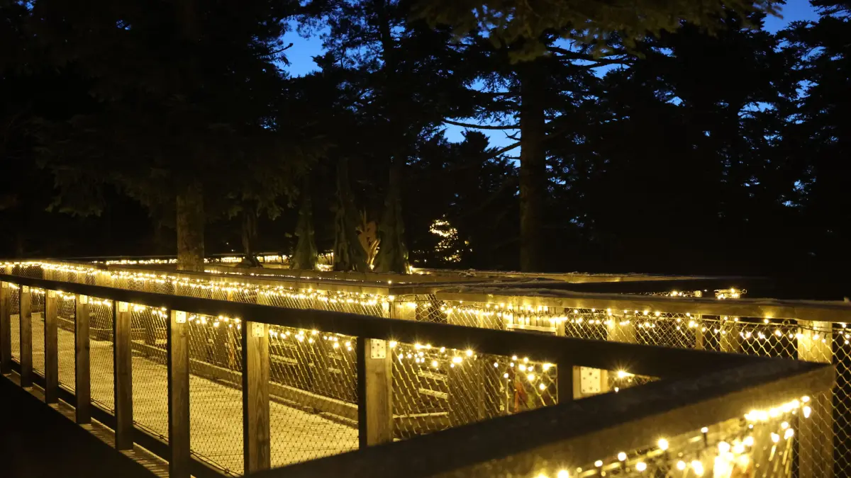 Lichterzauber Bad Wildbad