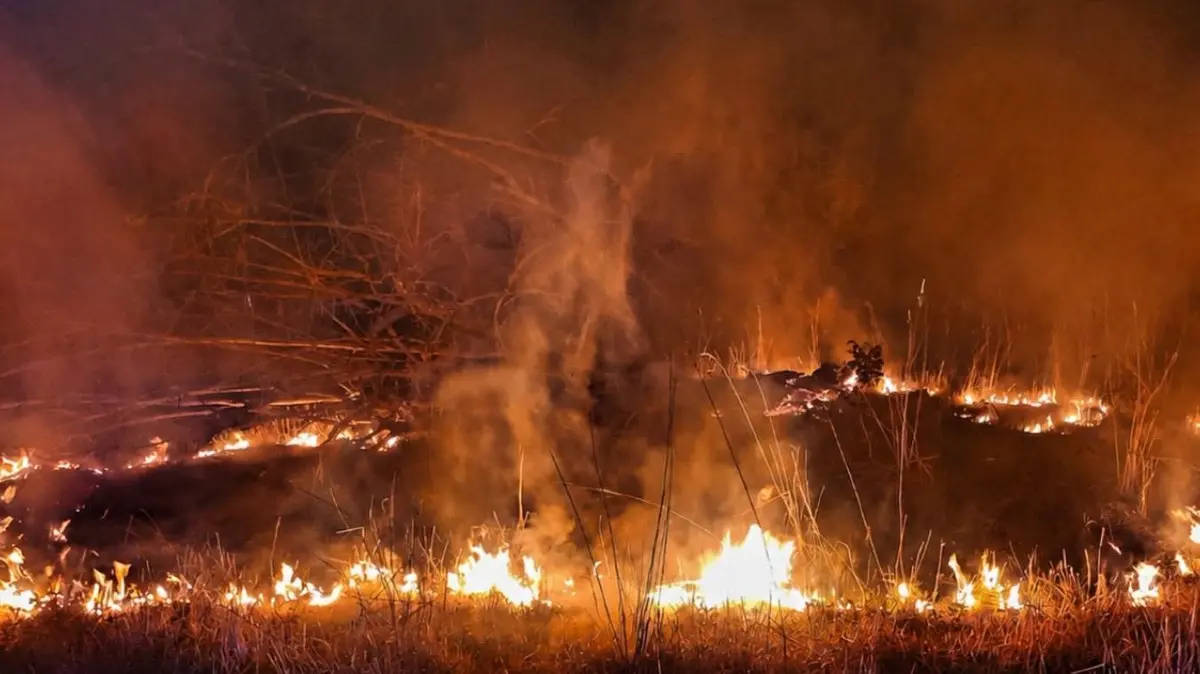 Eine Tumringer Bürgerin alarmierte am späten Mittwochabend die Feuerwehr über den Flächenbrand.