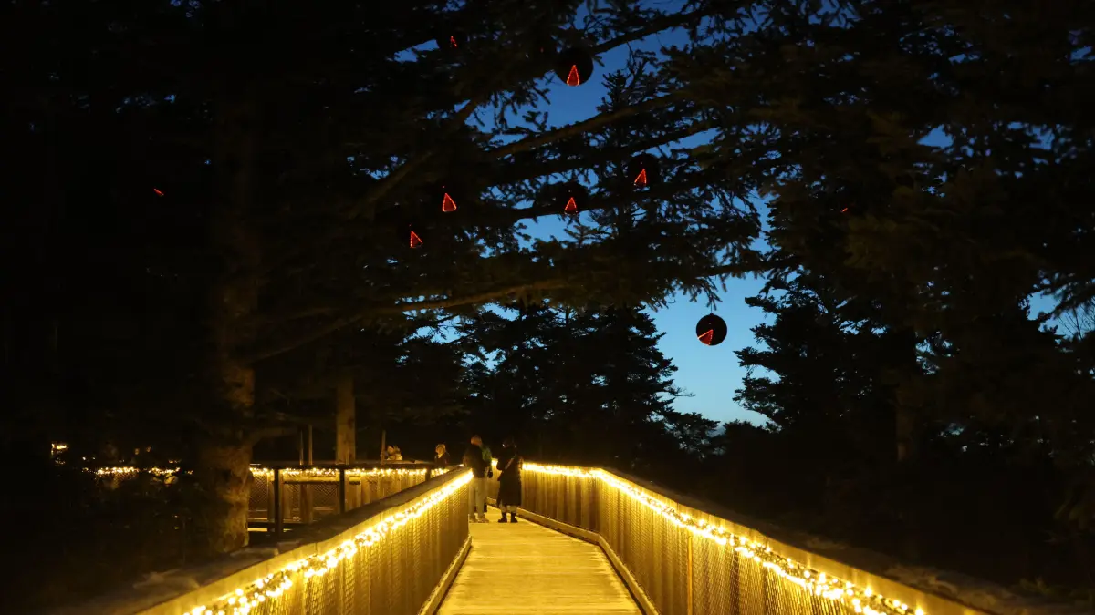 Lichterzauber Bad Wildbad