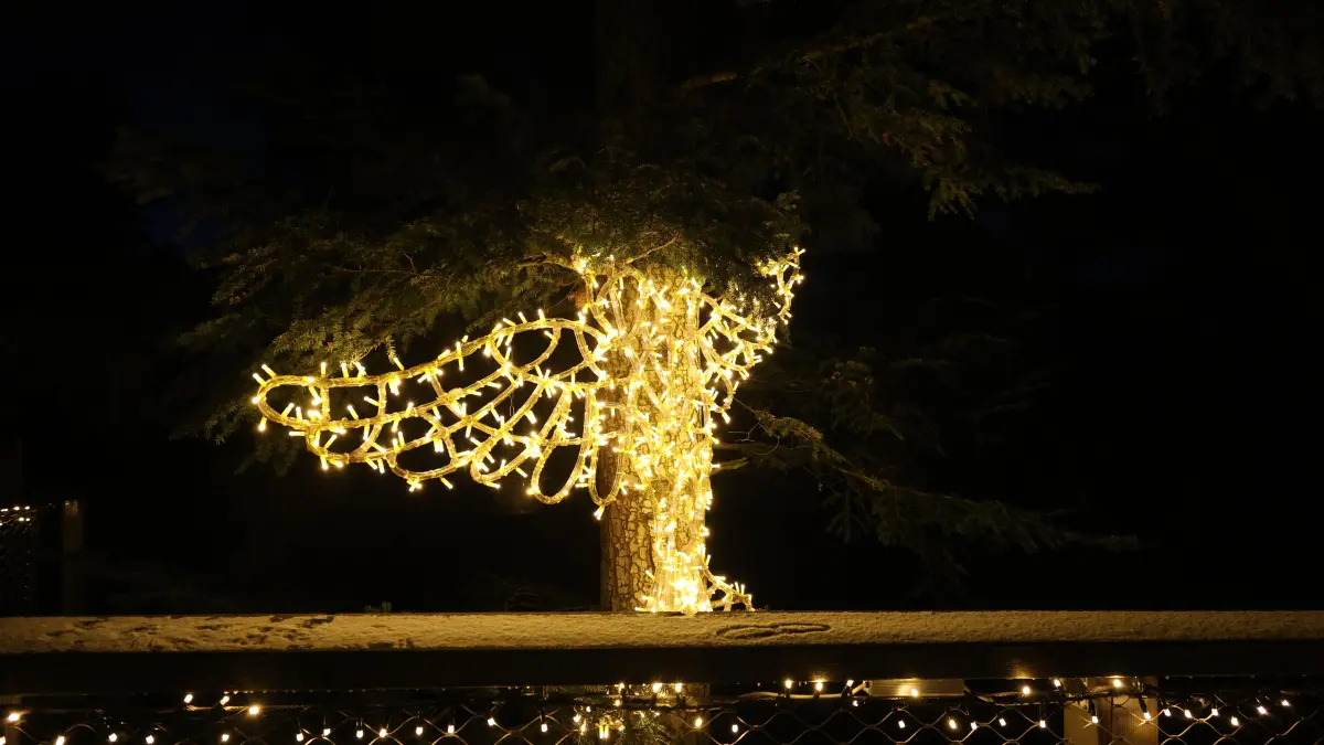 Lichterzauber Bad Wildbad