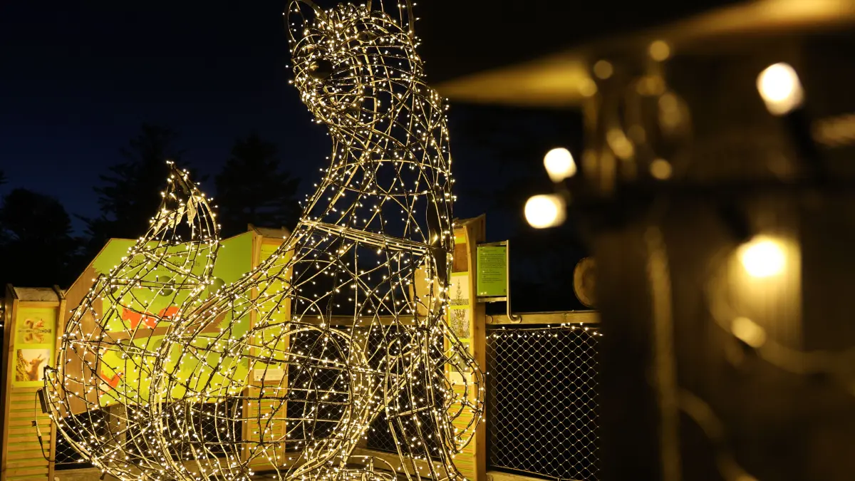 Lichterzauber Bad Wildbad
