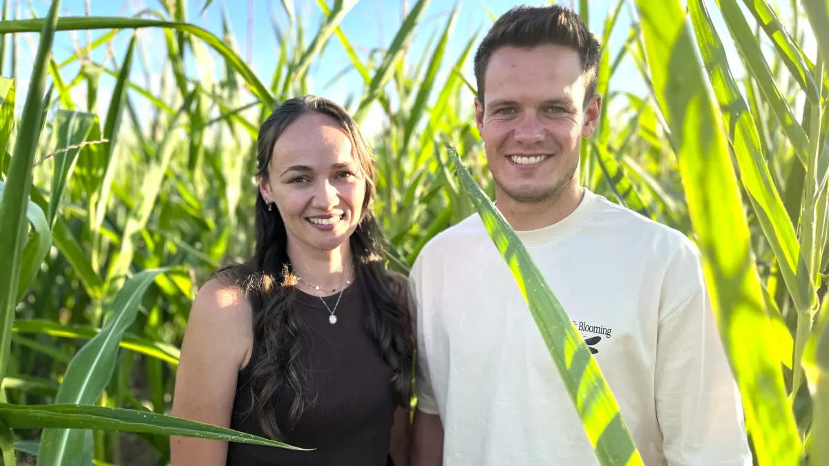 Celine Schelkle und Moritz Schmid haben in Bergfelden ein Maislabyrinth angelegt.