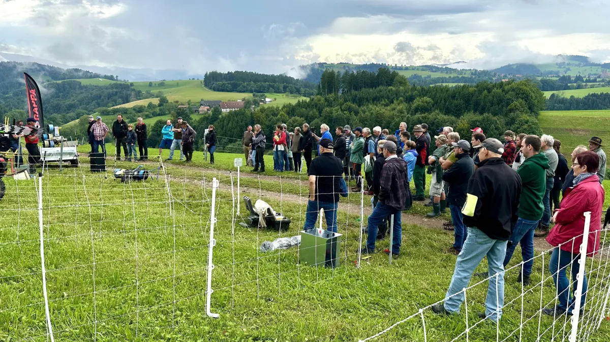 Weidetag