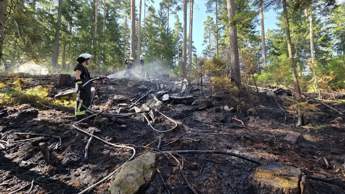 Die Feuerwehr bei den Löscharbeiten im Baiersbronner Gemeindewald