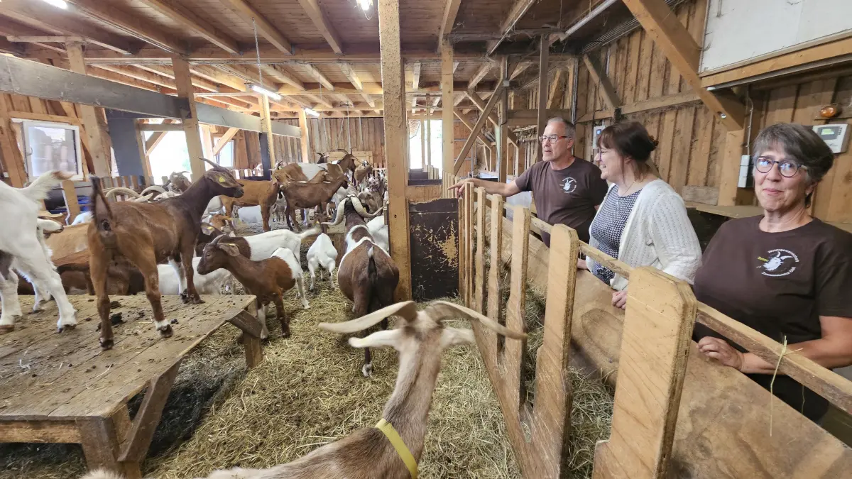 Klaus und Annette Rümmele von der Weidegemeinschaft Zweistädteblick in Tunau zeigen der landwirtschaftlichen Sprecherin der SPD Viviane Sigg, Mitte, den quirligen Ziegenstall.