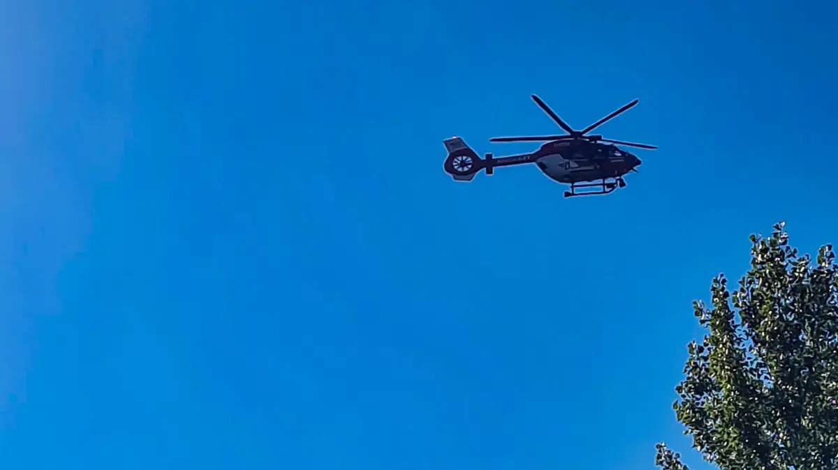 Neun Hilferufende wurden von DLRG, Feuerwehr und DRK auf dem Rhein gerettet.