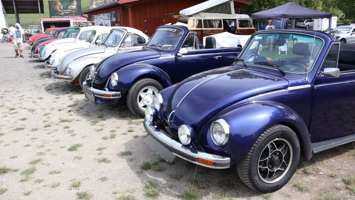 Beim Käfertreffen in Ostelsheim gab es auch besondere Schätzchen zu sehen.