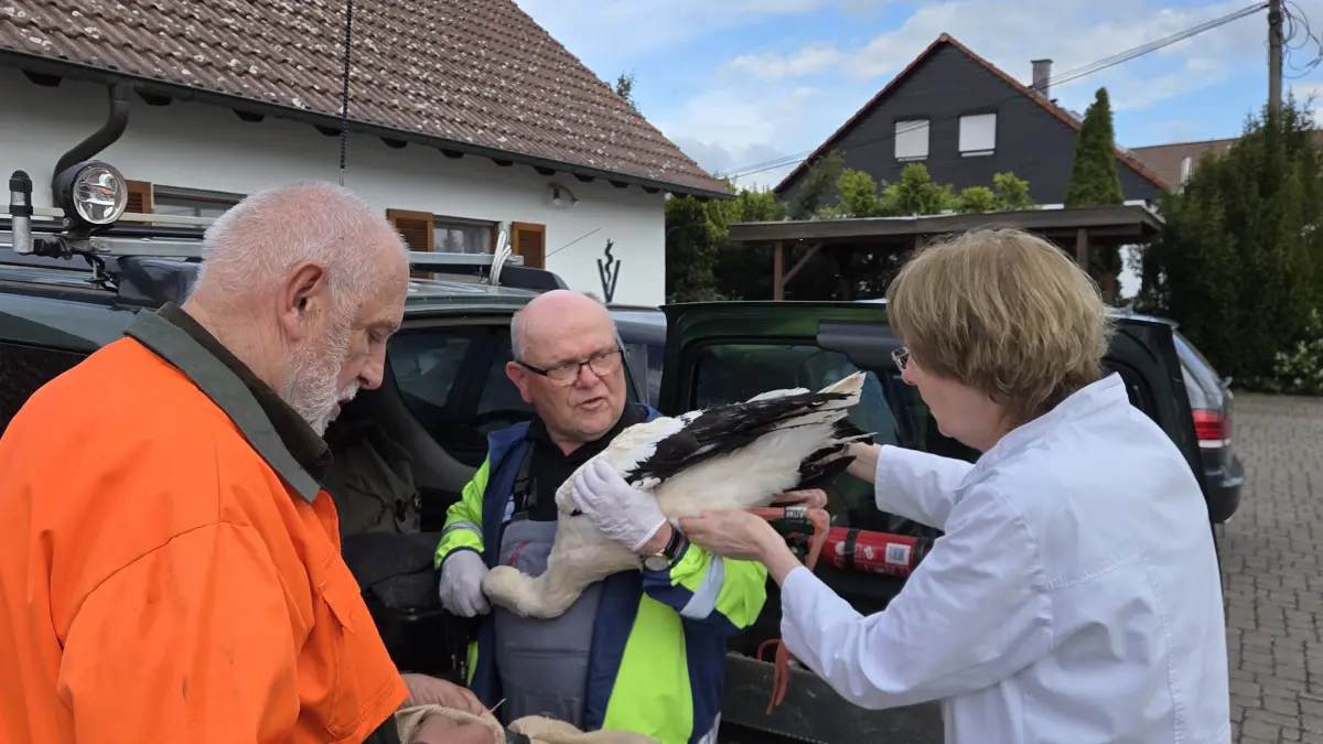 Polet / Schrägle und Dr. von Stromberg bei Rettung eines Storches