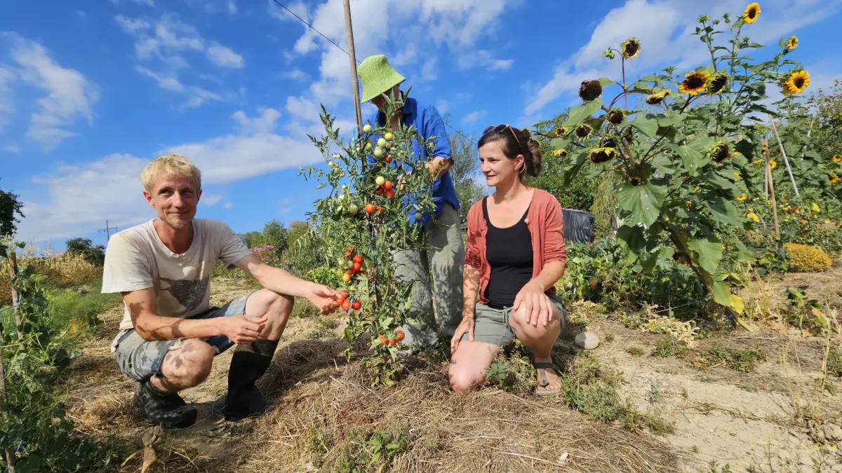 Theresa und Martin Haas, hier mit Pächterin Ulrike Reichert, betreuen die Saisongärten am Hof Dinkelberg freuen sich aktuell in einem schwierigen Jahr über eine gute Ernte.