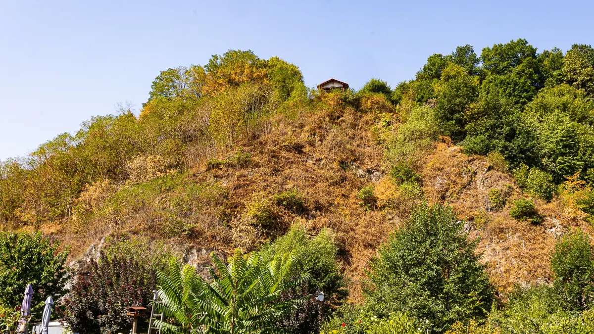 Die Trockenheit wirkt sich drastisch auf die Vegetation aus.