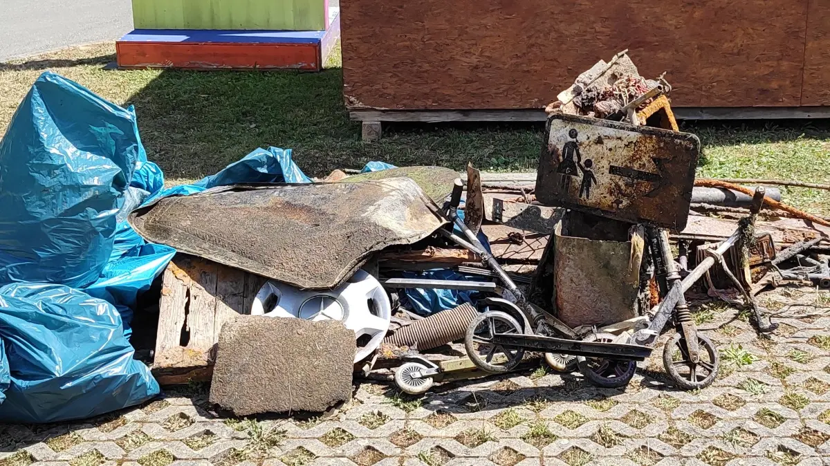 River Cleanup Nagold
