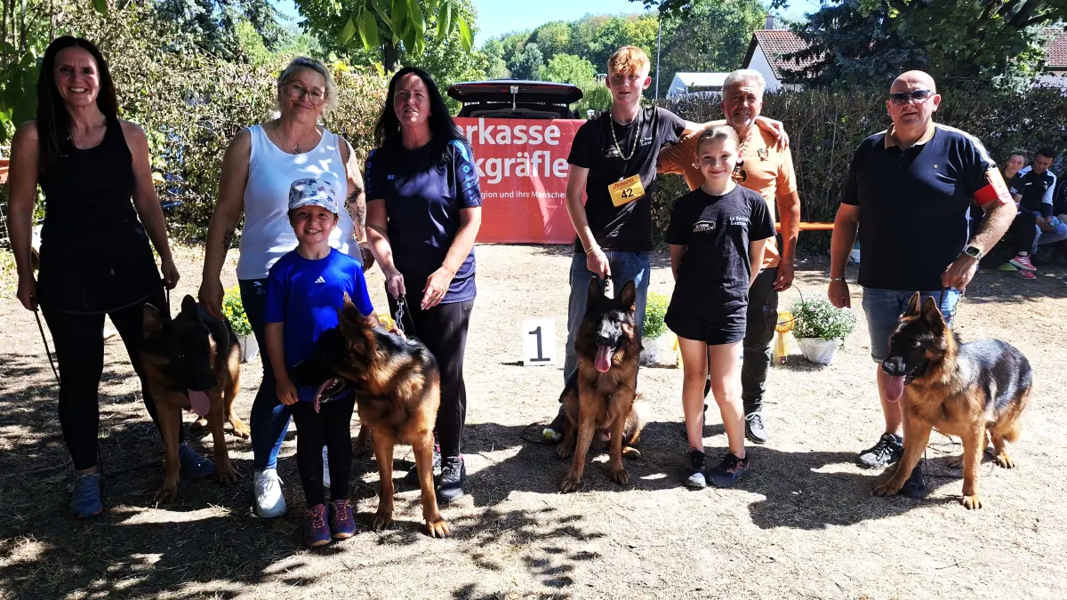 100 Schäferhunde nahmen an der Zucht- und Nachwuchsschau teil