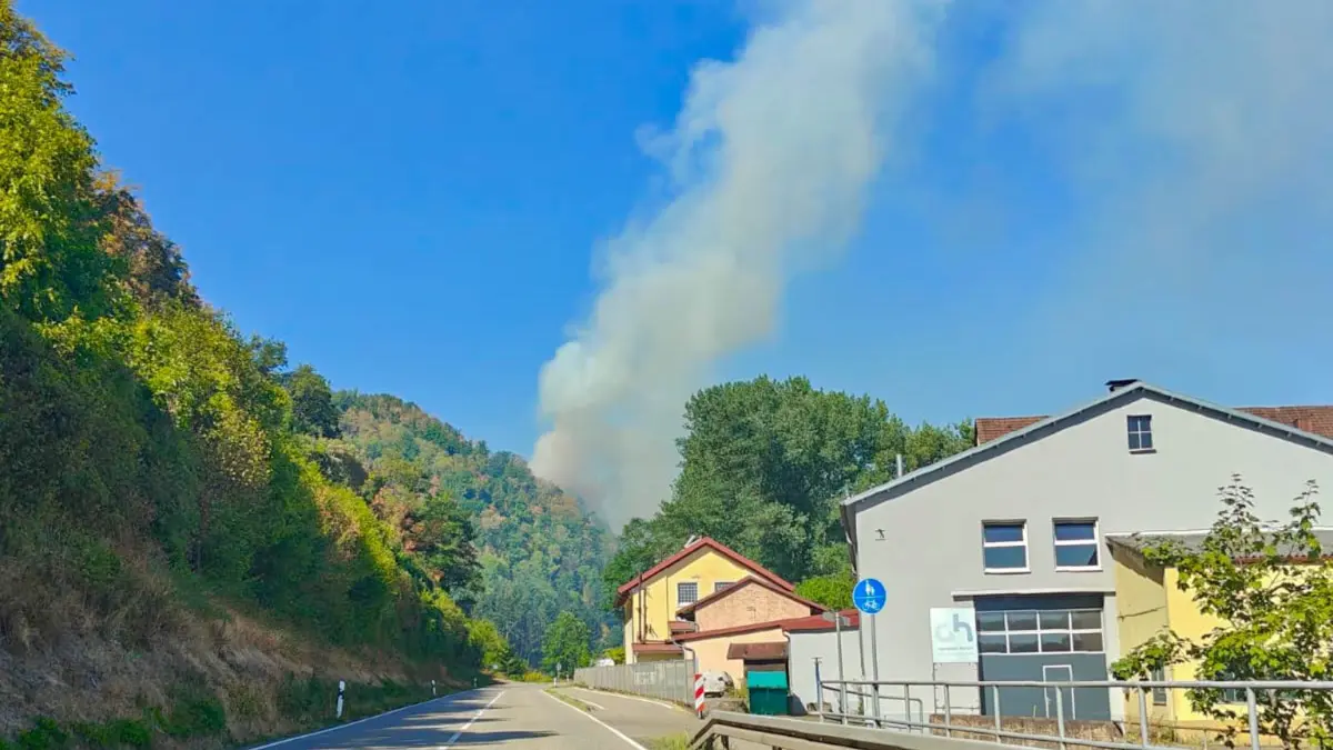 Bei Zell steht der Wald ebenfalls in Flammen.