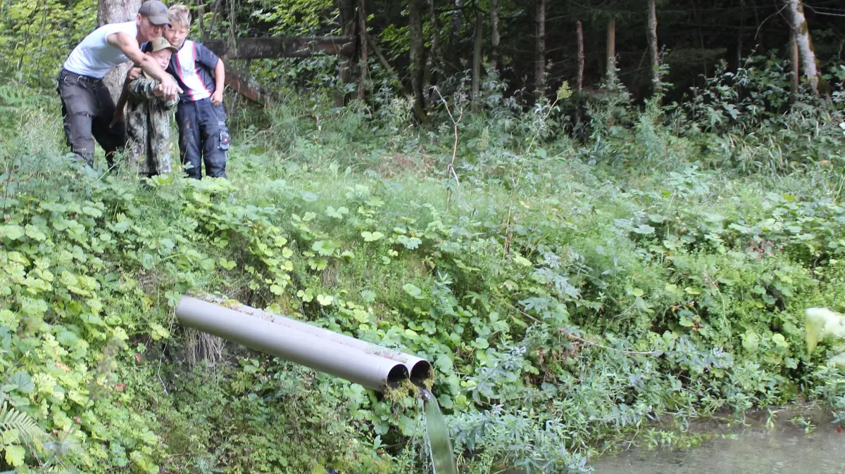 Fischteich Bio-Pfister Burladingen Hausen