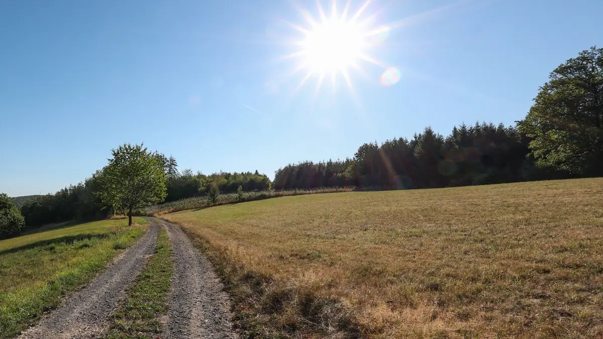 Sommer im Siegerland: Sommer im Siegerland. Ein wunderbarer Sommermorgen mit reichlich Sonne. Die naechsten nächsten Tage sollen die Temperaturen wieder ansteigen. Der Himmel ist blau und die Sonne strahlt vom Himmel auf die Landschaft. Sommer am 12.08.2026 in Siegen/Deutschland. *** Summer in the Siegerland: A wonderful summer morning with plenty of sunshine. Temperatures are expected to rise again over the next few days. The sky is blue, and the sun is shining down on the landscape. Summer on August 12, 2026, in Siegen, Germany