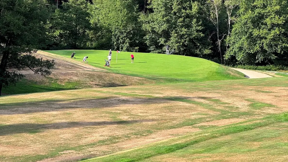 Die Trockenheit macht auch dem Bad Herrenalber Golfplatz zu schaffen. Nur die empfindlichen Grüns werden gezielt bewässert.