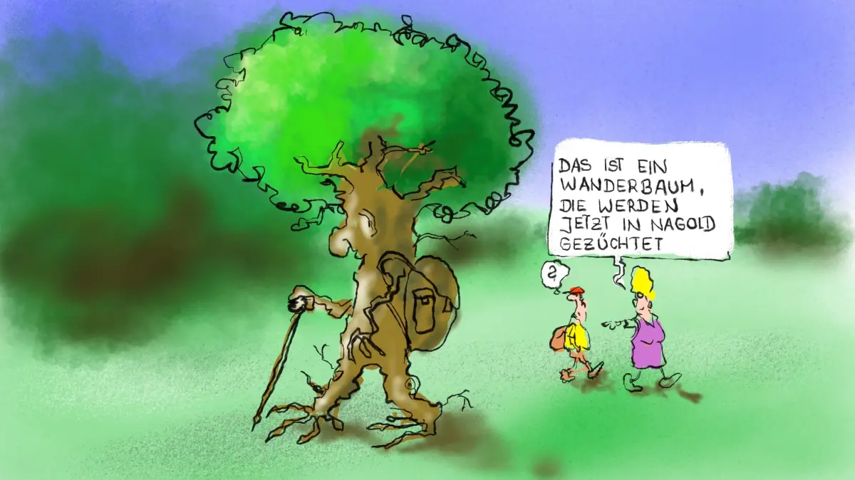 Immer nur rumstehen, für Nagolder Bäume ist das nichts. Sie weichen gerne mal für irgendwelche Vorhaben an neue Standorte aus. Bislang braucht es dazu noch große Spezialmaschinen. Aber angeblich züchtet der Bauhof im Geheimlabor schon Arten, die sich selbst auf den Weg machen können.