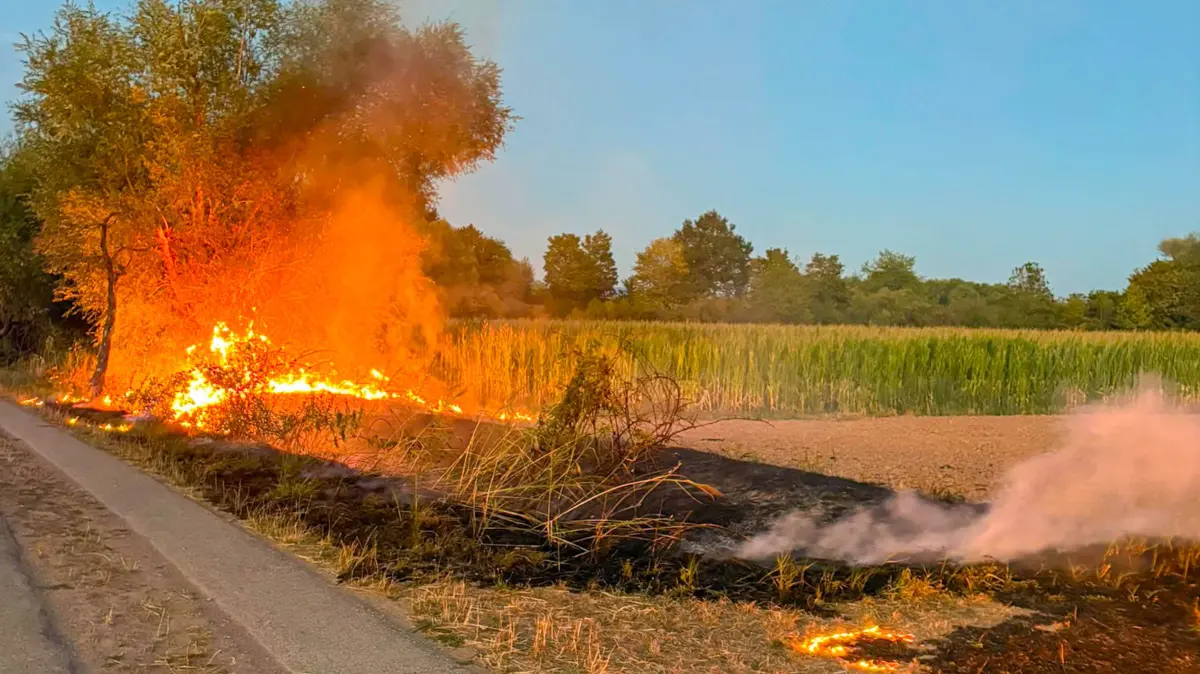 Eine Fläche von 100 Quadratmetern geriet in Brand.
