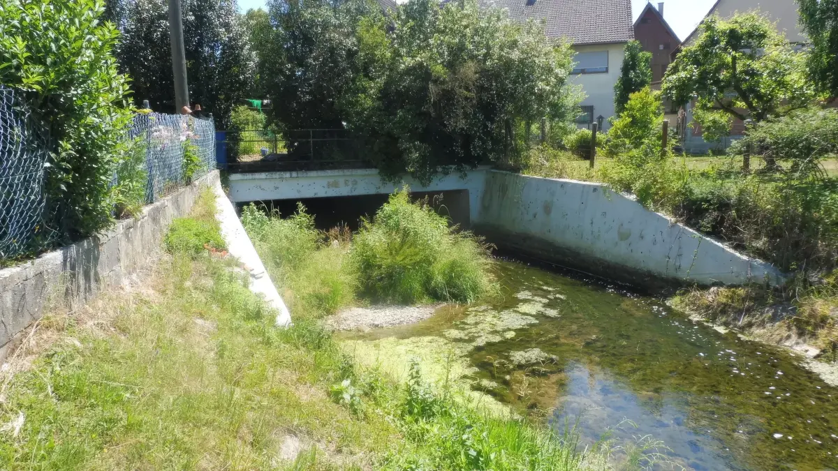 Der Mühlbach