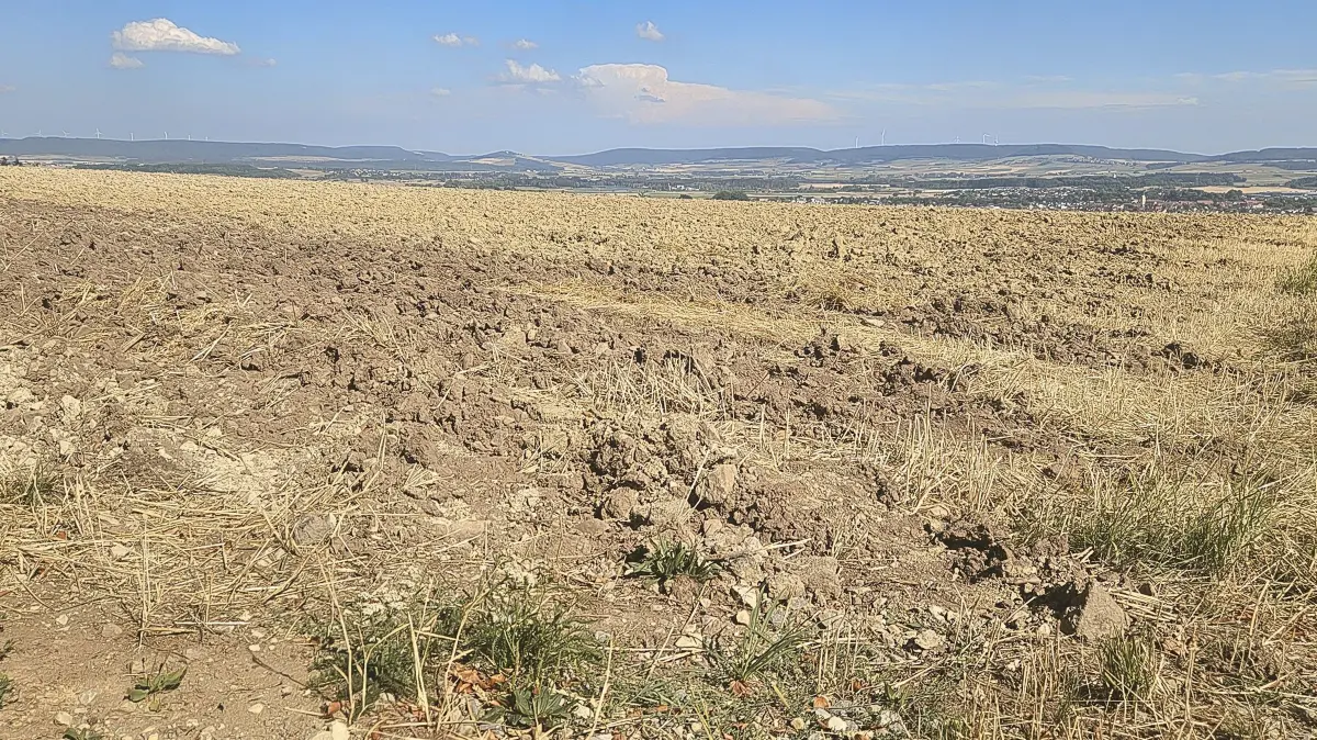 Ein trockener Acker auf dem Schellenberg Anfang August. Dass es hier zu wenig Niederschlag gab, ist nicht zu übersehen.