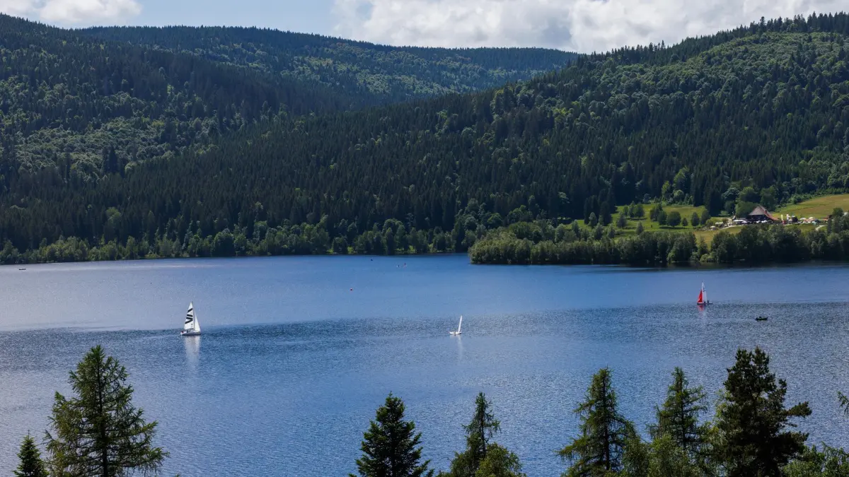 Mehr Besucher in der Ferienregion Schwarzwald