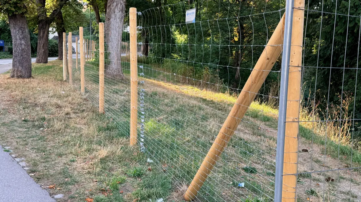 Für die Landesgartenschau werden temporär etwa 1700 Meter Zaun und dauerhaft etwa 950 Meter Zaun gestellt. Die ersten Meter sind bereits entlang der Bahnhofstraße zu sehen.