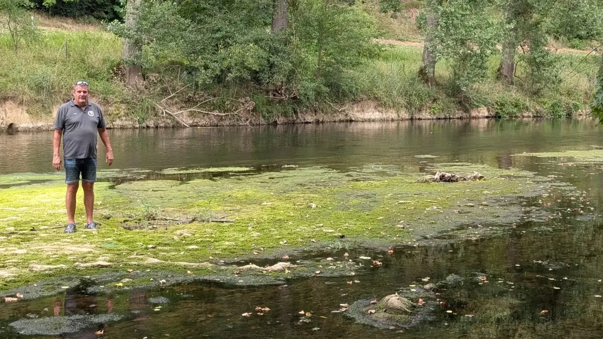 Was aussieht wie eine Kiesbank mitten im Neckar, ist eigentlich der Grund des Neckars. Dorthin kam Frank Schmitt von der Pächtergemeinschaft Sportfischer Schloss Weitenburg (fast) trockenen Fußes.