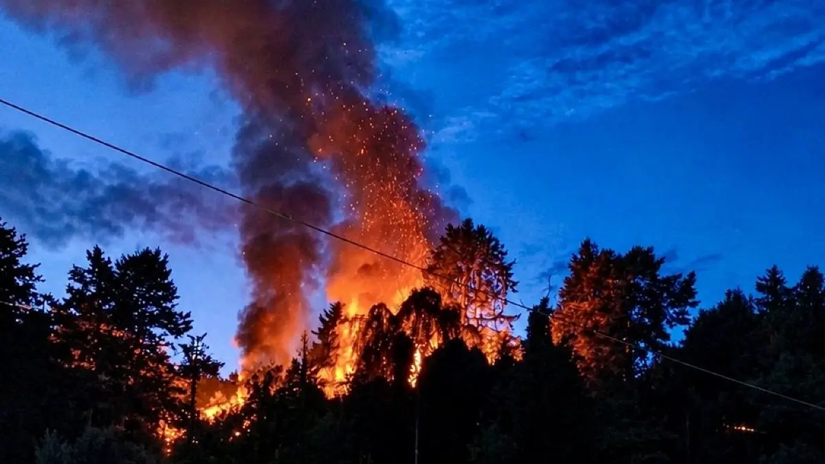 Das Feuer an der Dammenmühle