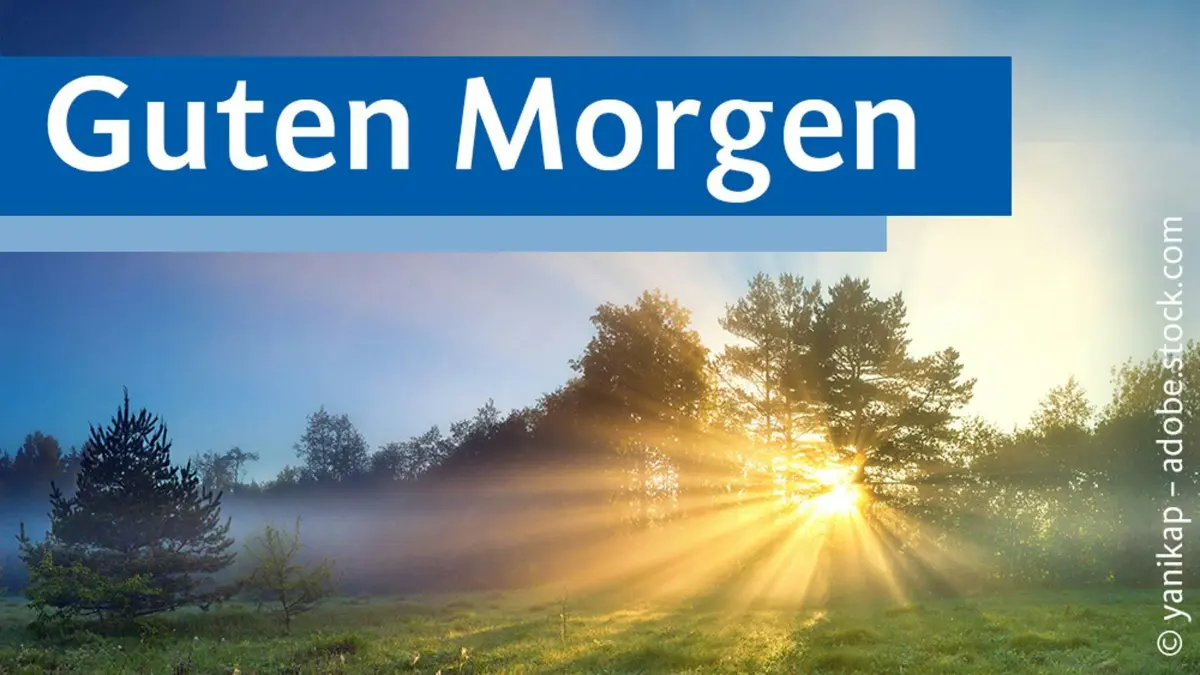 Falls dieser Text Sie wieslos zurücklässt, liebe Leser: Keine Sorge. Sie sind in guter Gesellschaft.