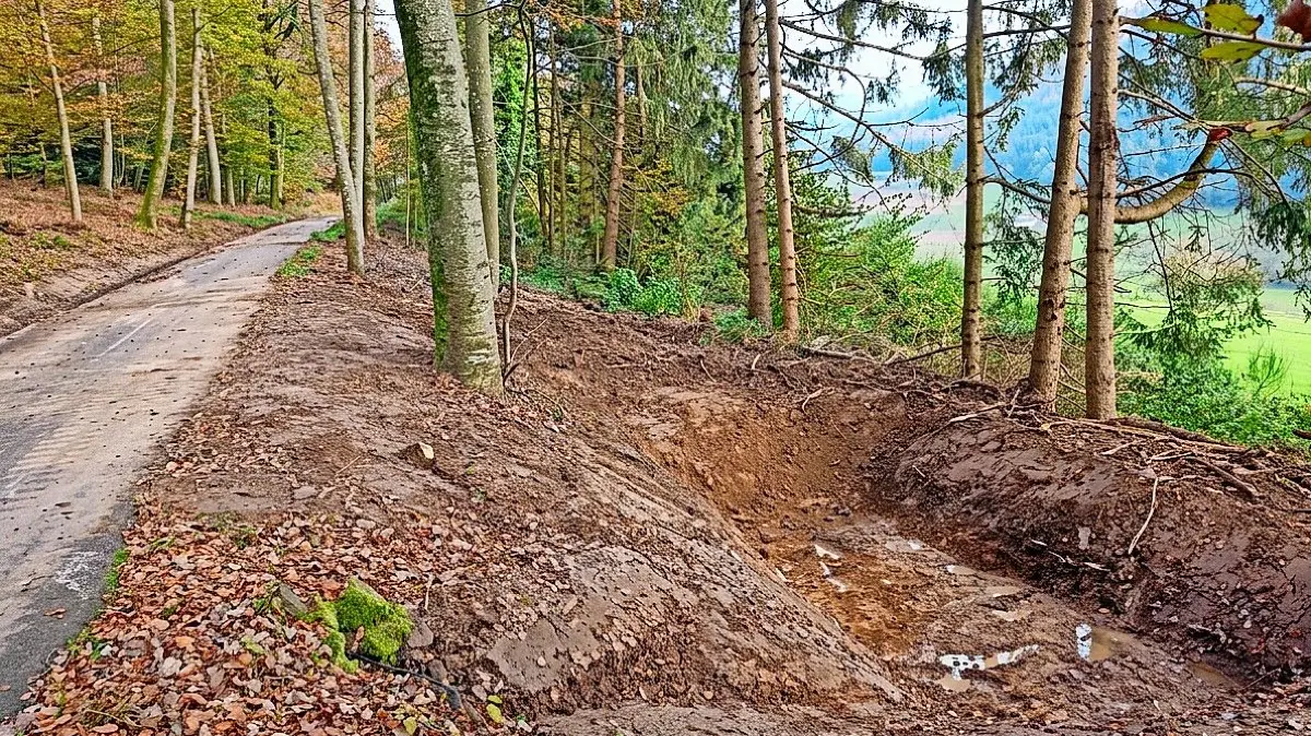 Im Lahrer Stadtwald wurden 2024 Kleinstrückhaltebecken angelegt.