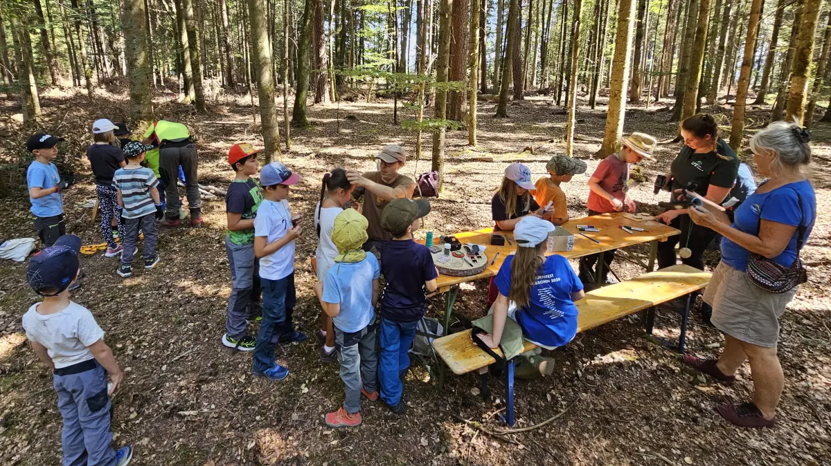 Die Kinder konnten beim Naturerlebnis den Wald entdecken.