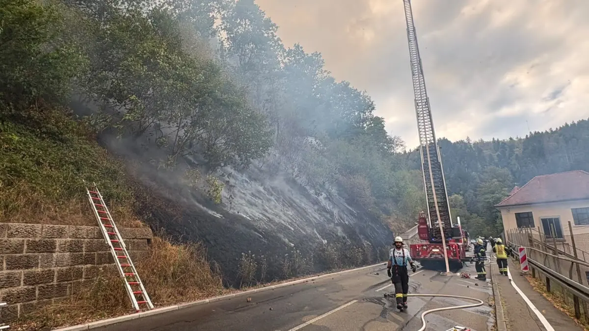 Waldbrand in Schramberg
