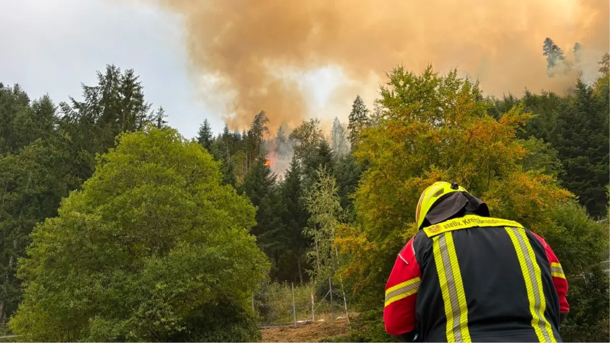 Waldbrand Schramberg