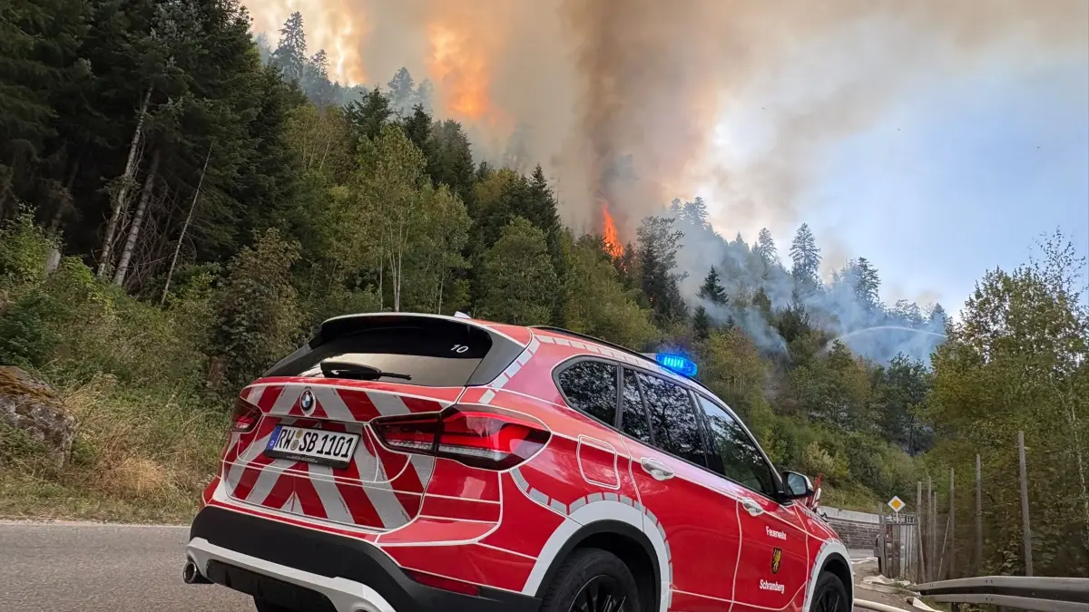Waldbrand in Schramberg