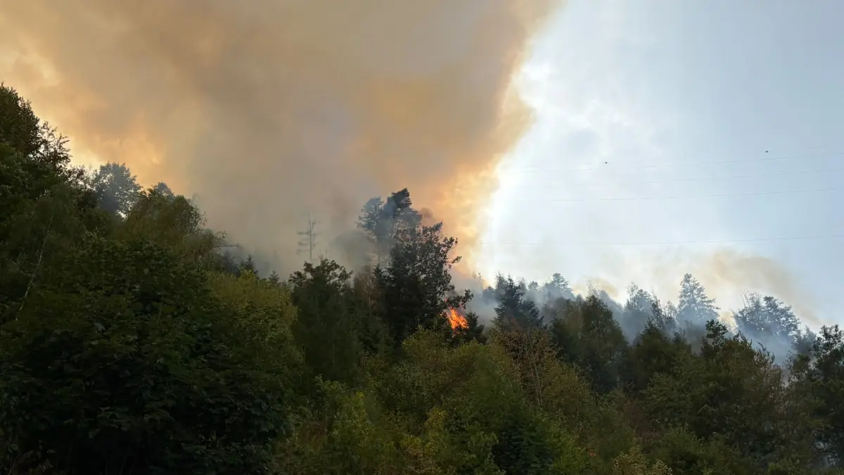 Waldbrand in Schramberg