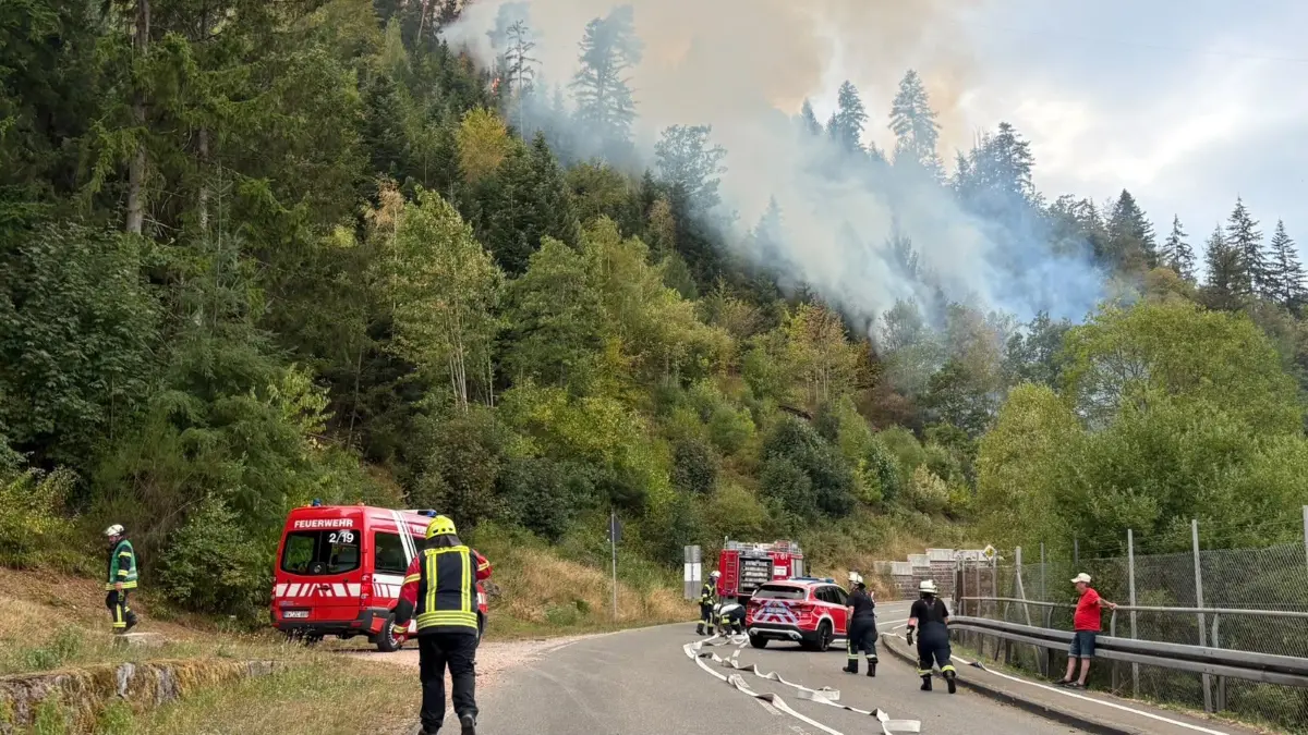 Waldbrand in Schramberg