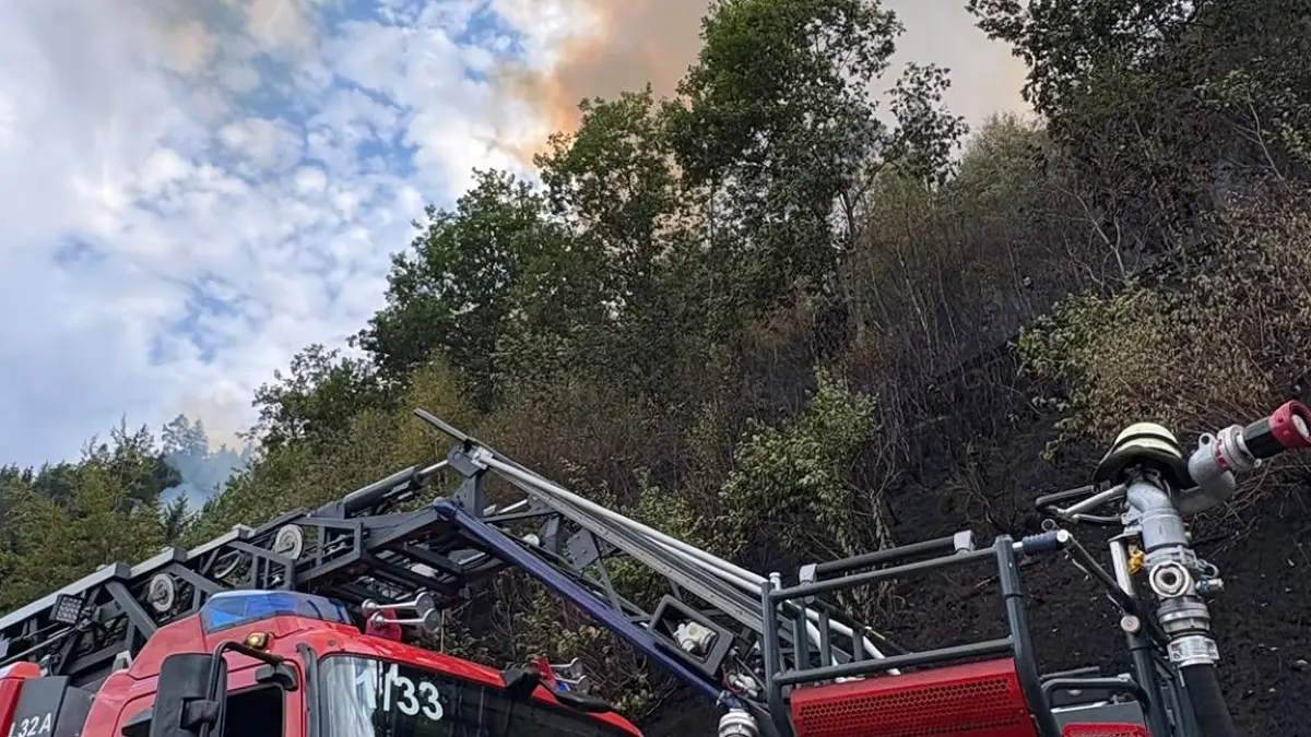 Waldbrand in Schramberg