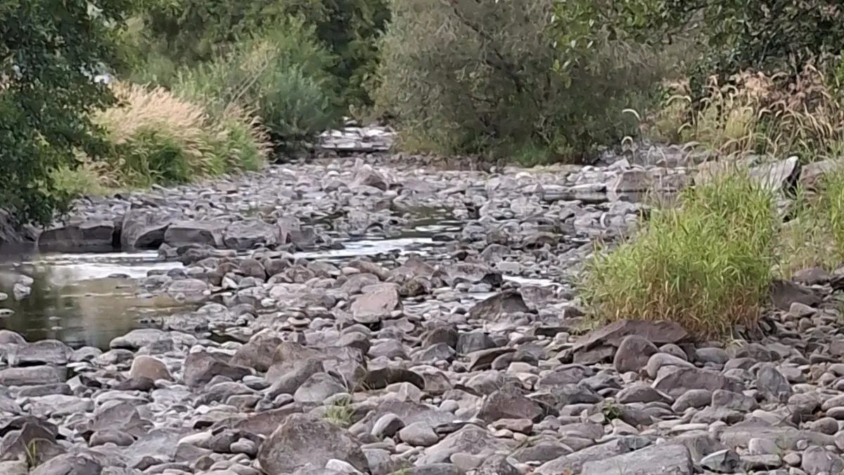 Die Wiese führt fast kein Wasser mehr.