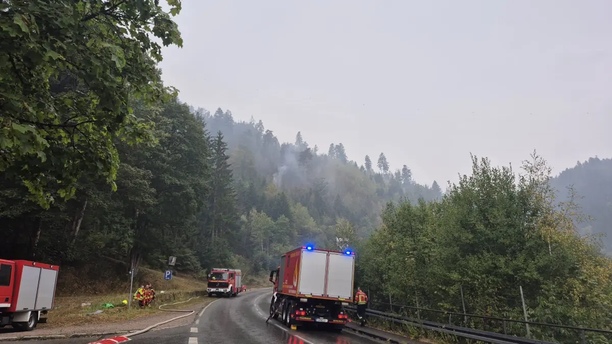 Waldbrand Schramberg