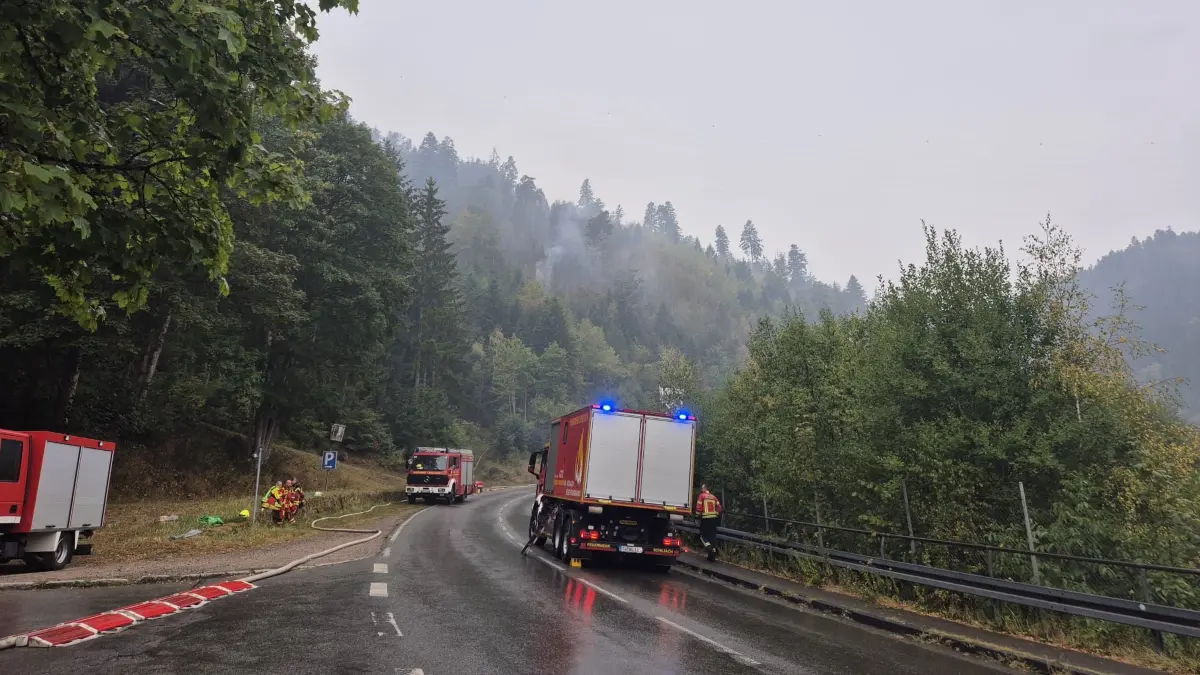 Waldbrand Schramberg