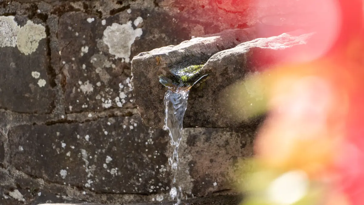 Um das öffentliche Trinkwasser bei der aktuellen Witterung nachhaltig zu schonen, schickt die Gemeinde Baiersbronn ausgewählte Brunnen und Tretanlagen vorübergehend in die Sommerpause.