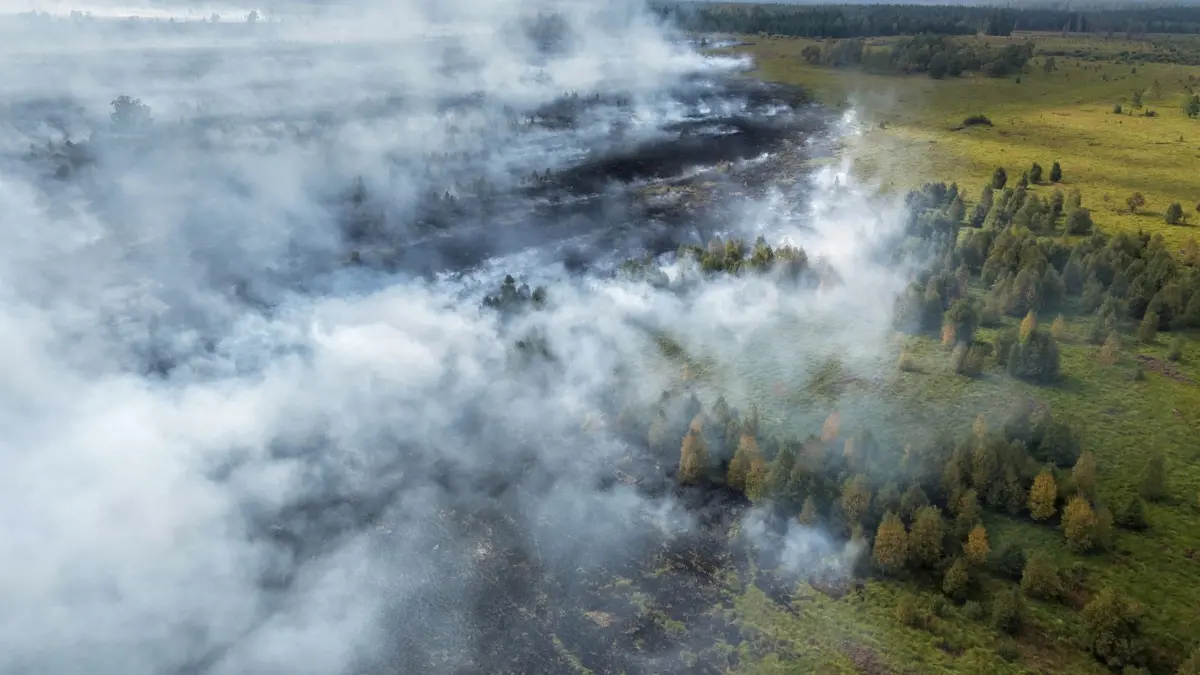 Waldbrand im Hohen Venn