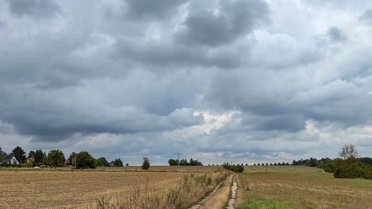 Regenwolken über Sachsen: 18.08.2026, Sachsen, Leipzig: Dunkle Wolken ziehen am Himmel über einem Feld am Stadtrand entlang. Dem Deutschen Wetterdienst zufolge bleibt es die nächsten Tage kühl und regnerisch in Sachsen. Foto: Jan Woitas/dpa +++ dpa-Bildfunk +++