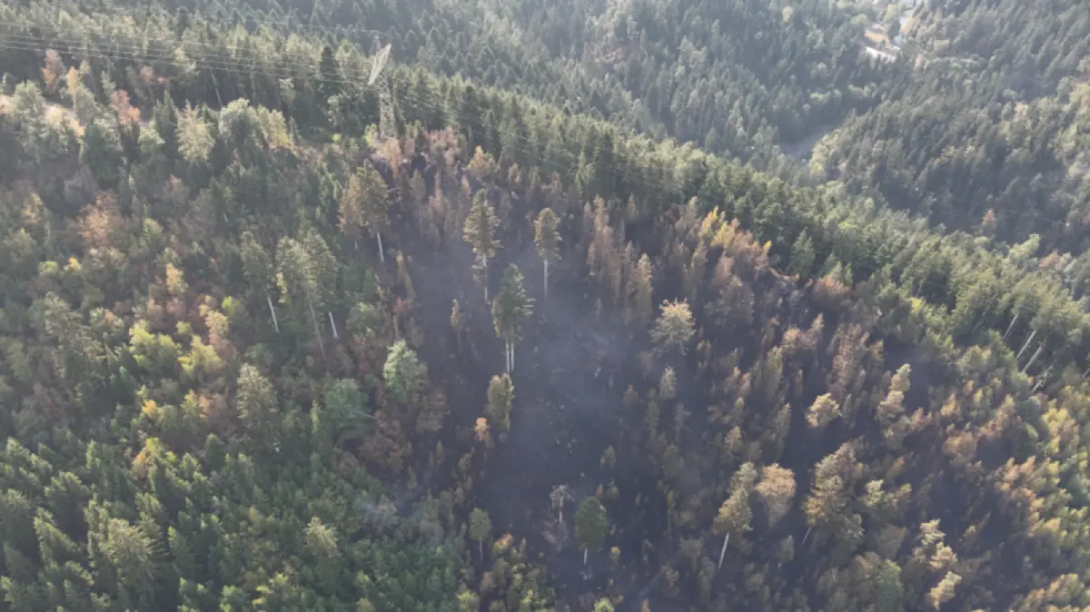 Hochspannungsleitung Waldbrand Schramberg