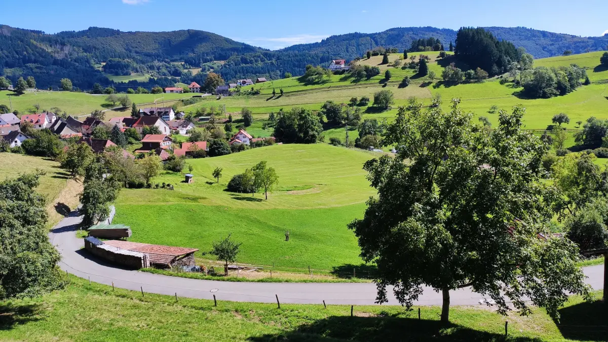 Blick auf Vogelbach