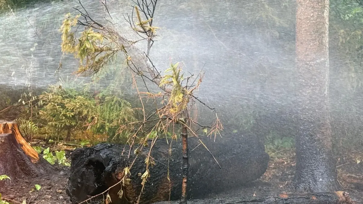 Die Feuerwehr Rottweil rückt am Donnerstagmorgen aus.